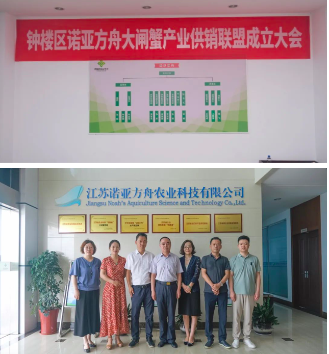 “钟楼区诺亚方舟大闸蟹产业供销联盟”今日正式成立