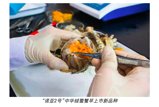 江苏诺亚方舟农业科技有限公司入选国家水产种业阵型企业名单！