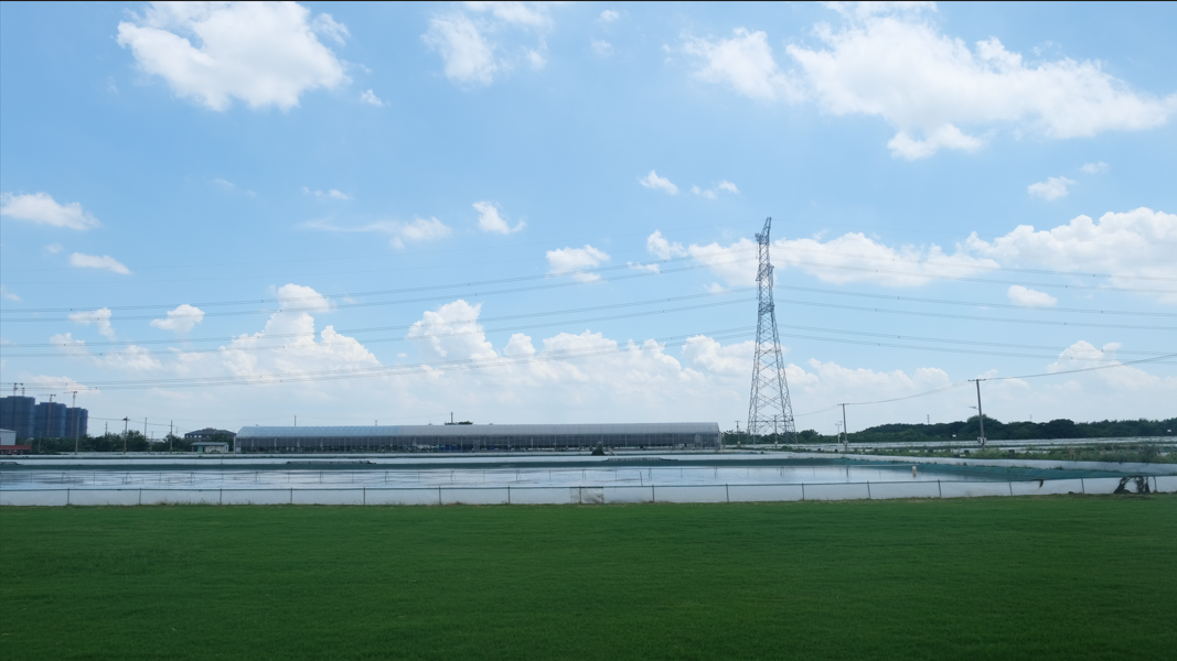 江苏诺亚方舟科技有限公司入选首批省现代农业全产业链标准化基地名单！