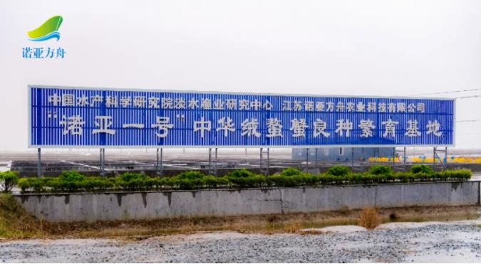 “诺亚1号”中华绒螯蟹生态高效扩繁技术研发及